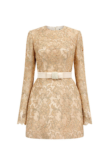 Beige guipure lace mini dress with short sleeves and a defined fitted waist - IHF STUDIO