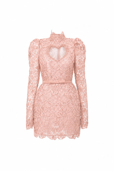 Light Pink Vine Floral Lace Long-Sleeve Mini Dress With Heart Cutout, Balloon Drawstring - IHF STUDIO