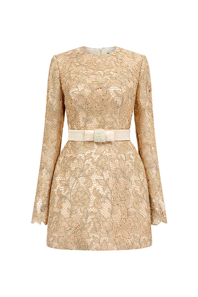 Short-Sleeved Guipure Lace Mini Dress – IHF STUDIO